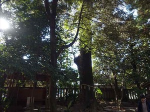 DSC04643_R