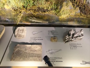 DSC05084_R