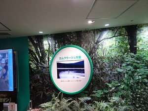DSC02349_R