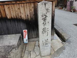 DSC04795_R
