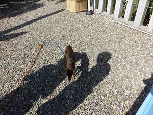 DSC05868_R