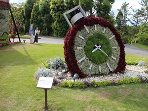 IMG_7146_R