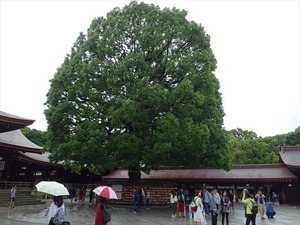 DSC02474_R
