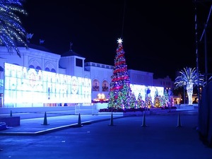 DSC02602_R
