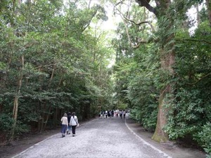 DSC07312_R