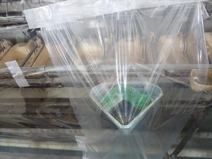 DSC08298_R