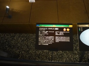 DSC04996_R