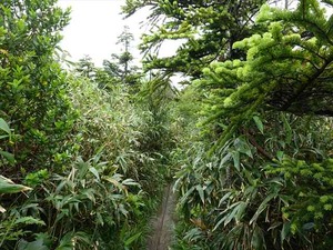 DSC06424_R