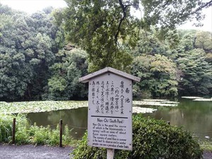 DSC02437_R
