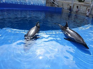 DSC05668_R
