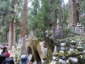 DSC02070_R