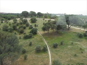 DSC03792_R