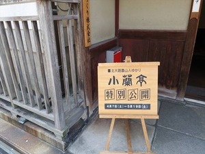 DSC05397_R