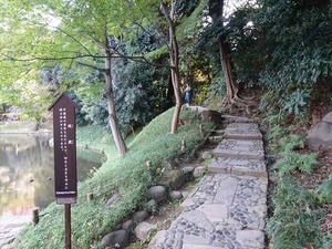 DSC05103_R