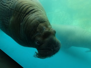DSC05608_R