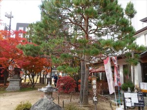 DSC01075_R