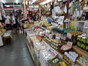 DSC01481_R