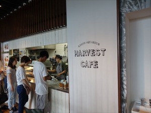 DSC08043_R