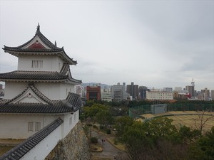 DSC08847_R
