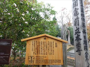 DSC01015_R