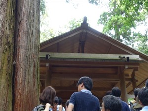 DSC07356_R