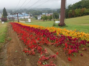 DSC07239_R