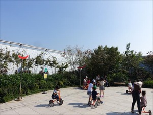 DSC00473_R