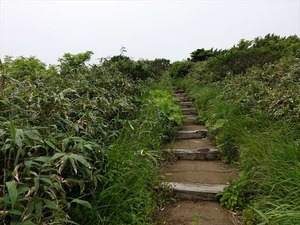 DSC06436_R