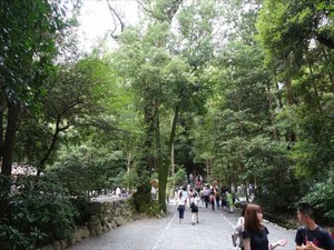 DSC07337_R