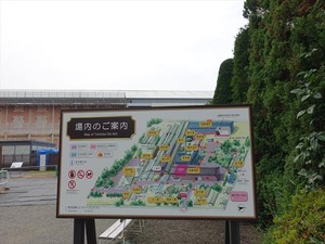 DSC08341_R