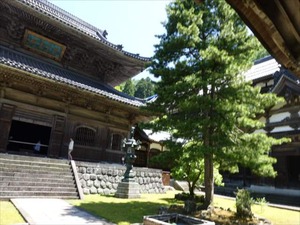 DSC05213_R