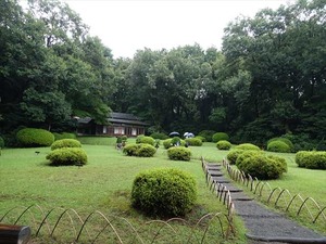 DSC02441_R