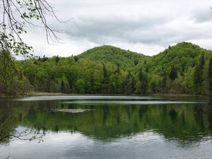 DSC00777_R