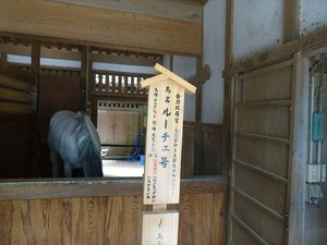 DSC01411_R