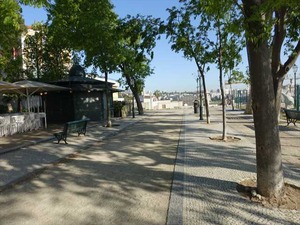 DSC07330_R
