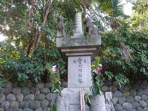 DSC02786_R