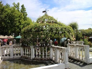 IMG_6916_R