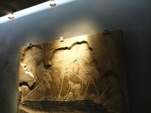 DSC04965_R