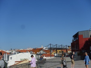 DSC07384_R