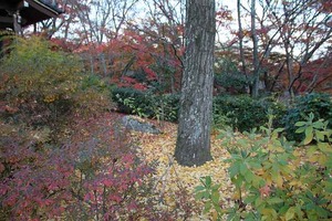 IMG_8967