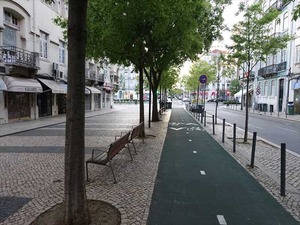 DSC06141_R