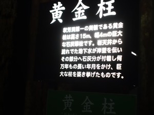 DSC09528_R