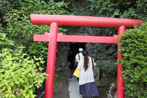IMG_6586