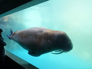 DSC05605_R