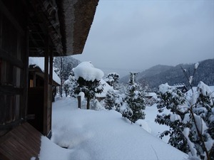 DSC03200_R