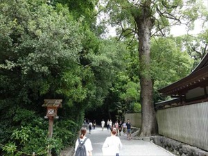 DSC07374_R
