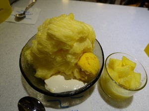 DSC02840_R