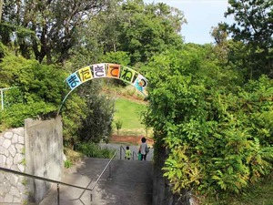 IMG_7132_R