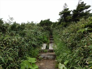 DSC06435_R