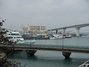 DSC03679_R